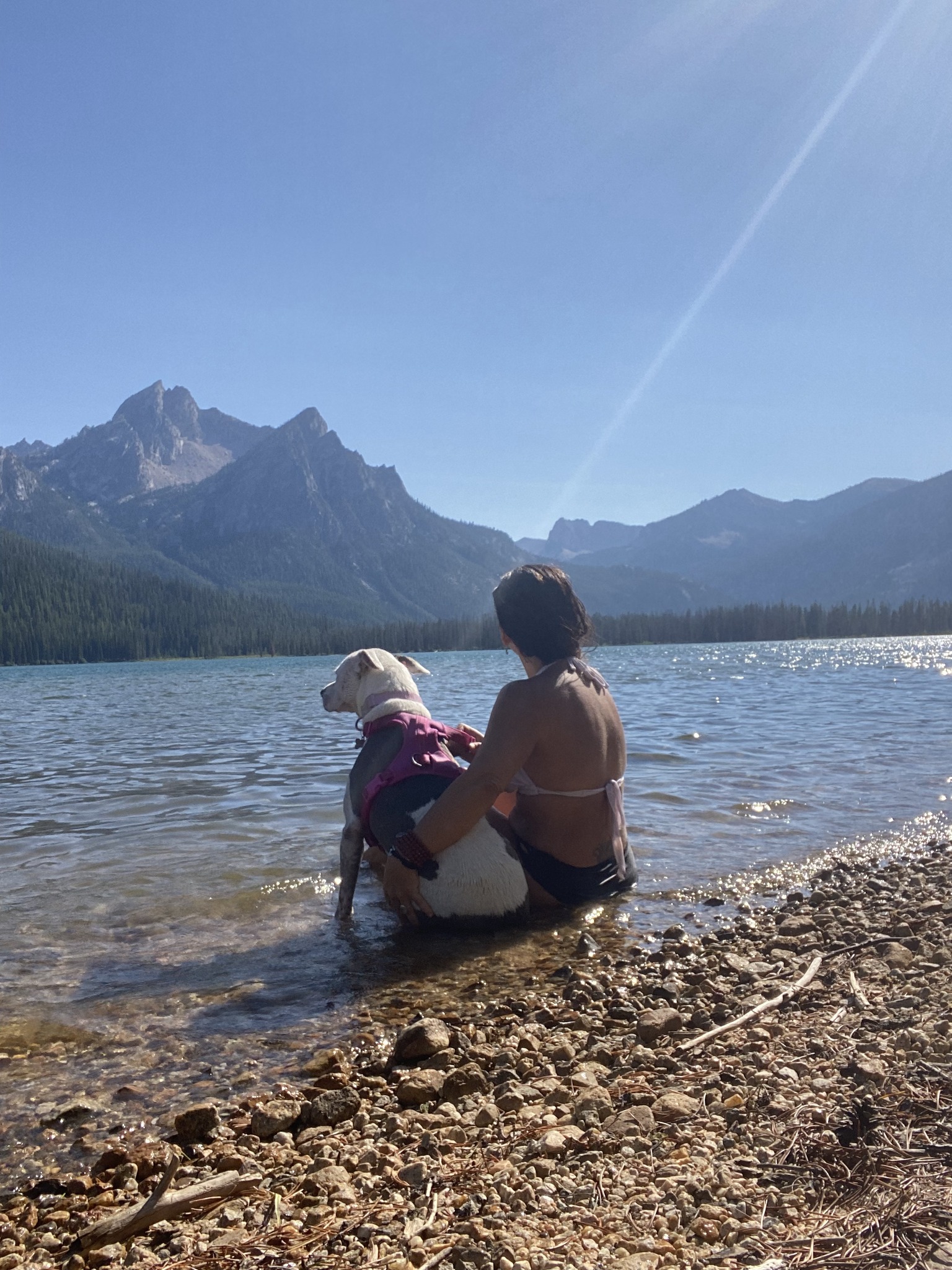 A person sits by a lake with a dog, both enjoying the water and mountain scenery. The sunlight creates a serene atmosphere for outdoor relaxation.